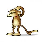 Confused Monkey Confused Monkey